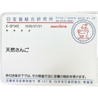 珊瑚（コーラル） ペンダントトップ K18ゴールド 18金 3.3g レディース【中古】【真子質店】【NN】【MoMox】